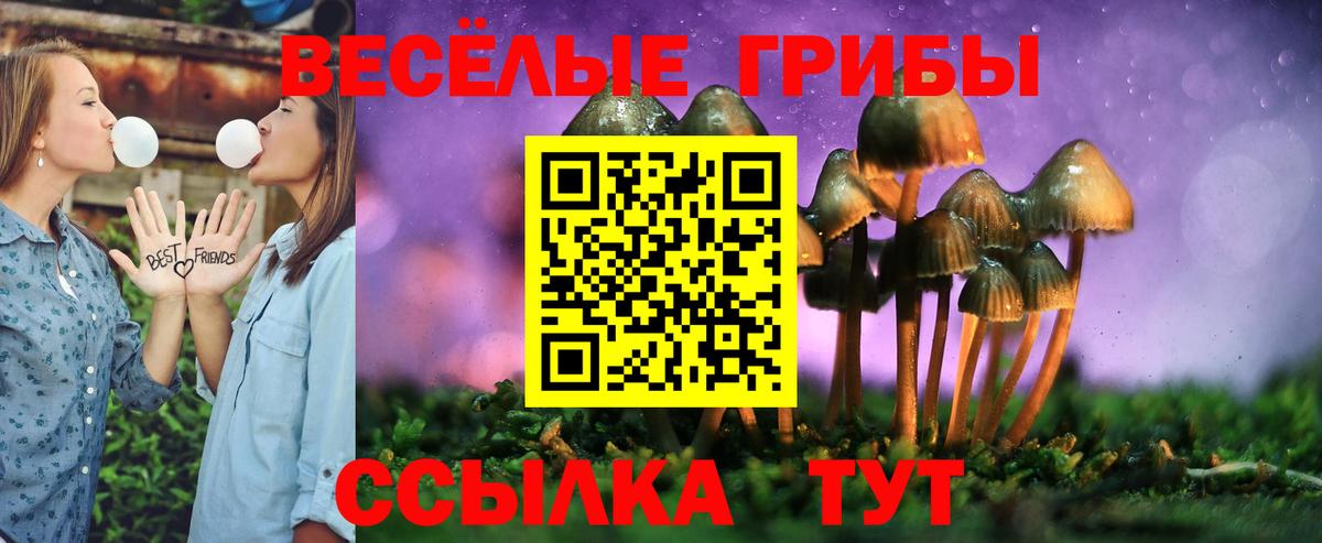 Галлюциногенные грибы Psilocybe  Вход с VPN  Верхний Уфалей  Псилоцибиновые грибы Psilocybe 